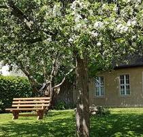 Wohnen im Logenhaus in Luckau, 2 Raum Wohnung im DG wird frei