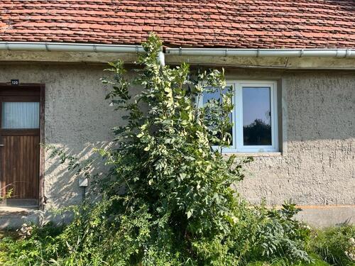 Foto - Doppelhaushälfte in Stavenhagen zum Kaufen