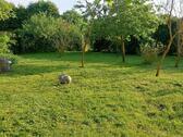 Foto - Einfamilienhaus in Barby