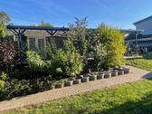 Foto - andere zur Miete in Recklinghausen