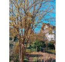 Mietwohnung 4 Zimmer im Grünen - 900,00&nbsp;EUR Kaltmiete, ca.&nbsp; 140,00&nbsp;m&sup2; in Neustadt am Main (PLZ: 97845)