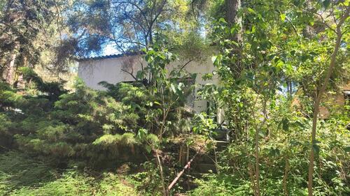 Foto - Bungalow am Mochowsee - 32.000,00&nbsp;EUR Kaufpreis, ca.&nbsp; 31,00&nbsp;m&sup2;