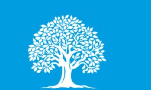 Foto - Häuschen mit Obstbaum in Rgbg an Gemüseanbauer + Gartenprofis !