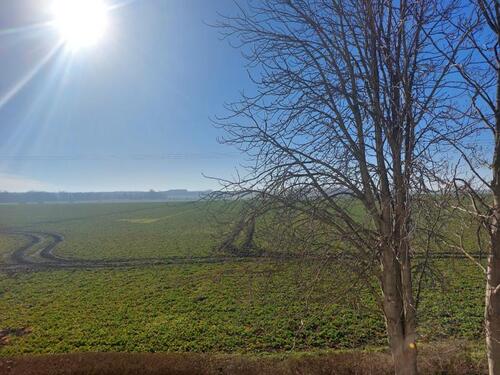 Foto - Etagenwohnung in Braunsbedra zur Miete