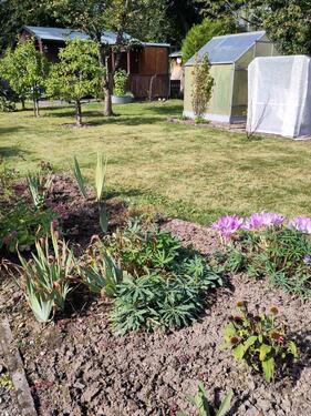 Foto - Grundst&uuml;ck in Chemnitz