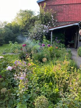 Foto - 2.5 Zimmer Erdgeschoßwohnung zur Miete in Tolk