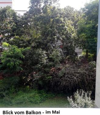 Foto - Etagenwohnung in Berlin zur Miete