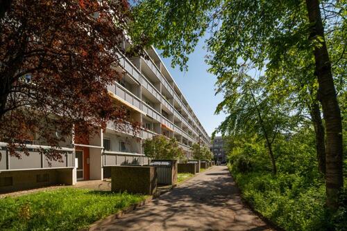 Foto - große 2-Raumwohnung im Blumenviertel