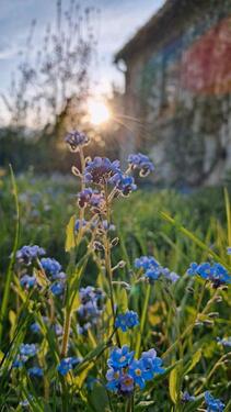Foto - Grundst&uuml;ck in Burkhardtsdorf