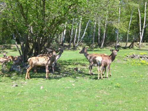 Foto - andere in Teisnach zur Miete