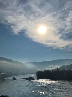 Foto - 3 Zimmer Etagenwohnung zur Miete in Zell (Mosel)