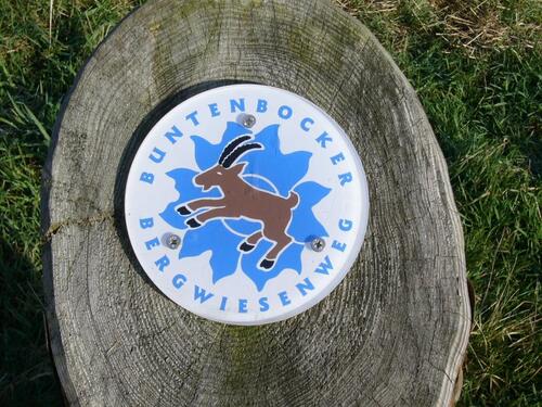 Foto - Biete kleines Bergwiesengrundstück Grünfläche in Butenbock !