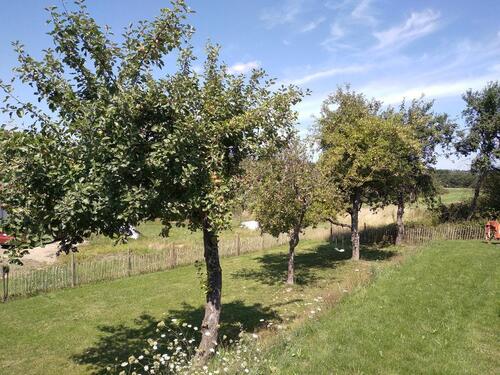 Foto - Grundst&uuml;ck in Singhofen