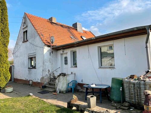 Foto - Reihenhaus in Magdeburg zum Kaufen