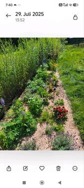 Foto - Grundst&uuml;ck in Kassel