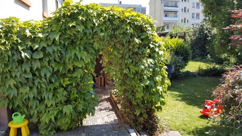 Foto - 4 Zimmer Einfamilienhaus in Offenbach am Main