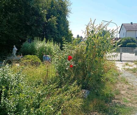 Foto - Einfamilienhaus in Straßkirchen zum Kaufen