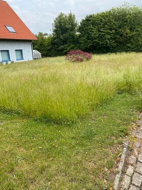 Foto - Einfamilienhaus zum Kaufen in Bad Oeynhausen