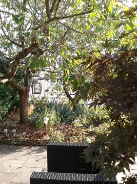 Foto - 2 Zimmer Einfamilienhaus zum Kaufen in Altenkirchen (Westerwald)