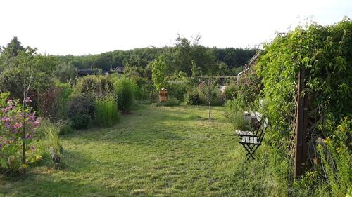 Foto - Schöner Selbstversorger-Kleingarten am Stötteritzer Wäldchen