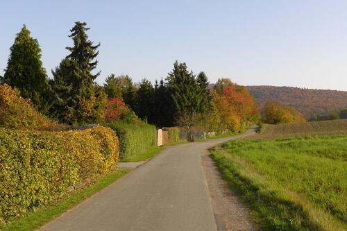 Foto - 