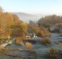 Seehaus mit großem Naturgarten und Seeblick am Edersee - Edertal