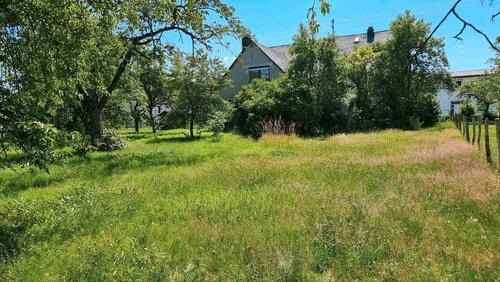 Foto - Mehrfamilienhaus, Wohnhaus in Niederwörresbach zum Kaufen