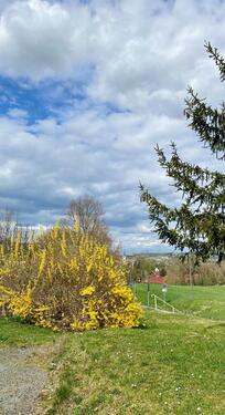 Foto - 2 Zimmer Etagenwohnung in Naumburg (Saale)