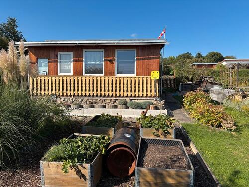 Foto - Garten Pachtgarten mit Gartenhaus und Terasse 330m²