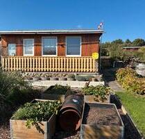 Garten Pachtgarten mit Gartenhaus und Terasse 330m² - Eisenach