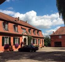 gemütliche 2-Zimmer-Wohnung mit Gartenblick auf den Niederwürzbacher Weiher – ab 01.03.2026 frei - Blieskastel