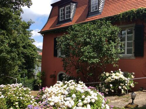 Foto - 2 Zimmer Etagenwohnung zur Miete in Blieskastel