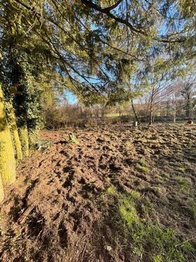 Foto - Grundst&uuml;ck zur Miete in Oestrich-Winkel