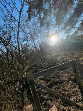 Foto - Grundst&uuml;ck in Oestrich-Winkel zur Miete
