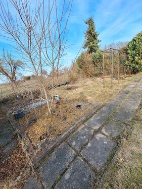 Foto - garten mit großer laube in Ringleben