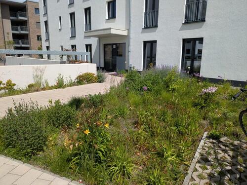 Foto - 3-Zimmer Erdgeschosswohnung mit Balkon im Neubaugebiet Ostend