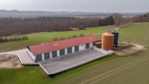 Foto - andere in Riedhausen