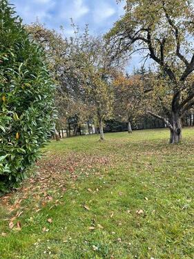 Foto - 7 Zimmer Einfamilienhaus zum Kaufen in Eging am See