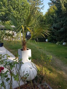 Foto - 9 Zimmer Einfamilienhaus in Dreieich