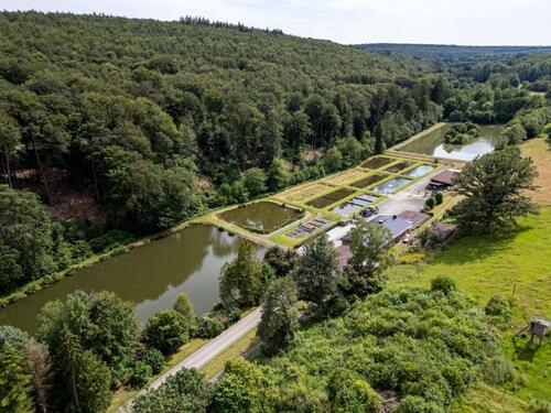 Foto - andere zur Miete in Nentershausen