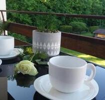 2-Fam.Haus-Lage Seewald Naturschutzgebiet-Sonn.Terrasse-Prov-frei - Friedrichshafen