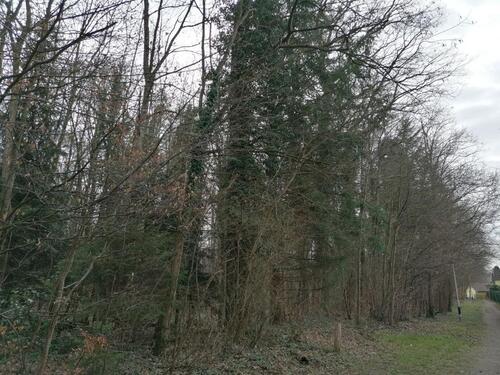 Foto - 10 Zimmer Mehrfamilienhaus, Wohnhaus in Friedrichshafen