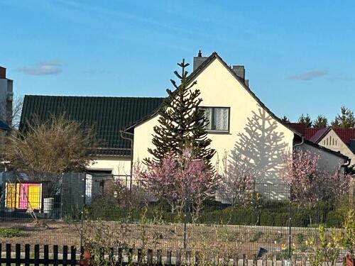 Foto - 4.5 Zimmer Einfamilienhaus zum Kaufen in Seeland