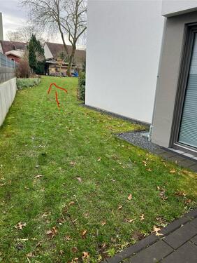 Foto - andere in Koblenz zur Miete