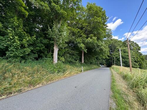 Foto - Grundst&uuml;ck in Bad Brambach