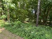 Foto - Grundst&uuml;ck in Bad Brambach zur Miete