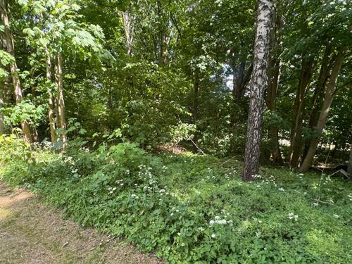 Foto - Grundst&uuml;ck in Bad Brambach zur Miete