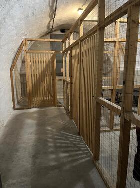 Foto - Lagerboxen, Kellerräume, Lagerkeller zentral in Boppard