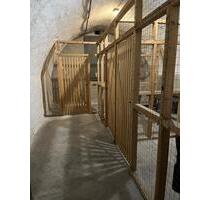 Lagerboxen, Kellerräume, Lagerkeller zentral in Boppard