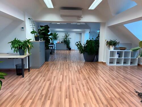 Foto - andere zur Miete in Dresden